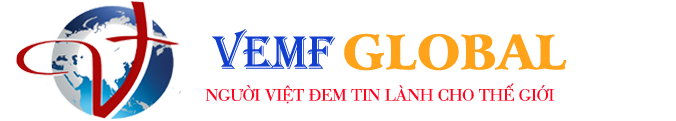 VEMF GLOBAL
